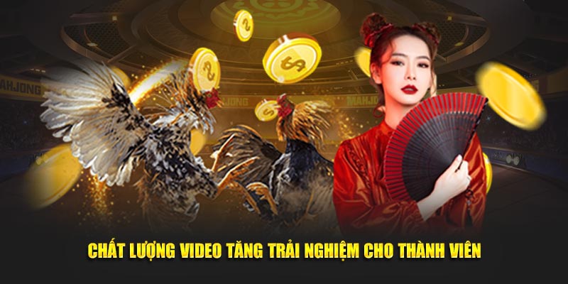 Chất lượng video tăng trải nghiệm cho thành viên