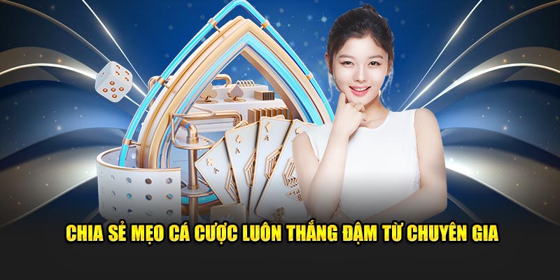 Chia sẻ mẹo cá cược luôn thắng đậm từ chuyên gia