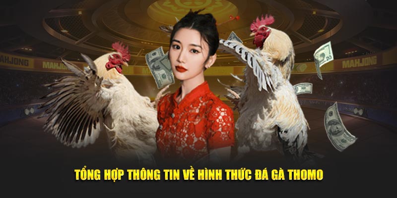 Tổng hợp thông tin về hình thức giải trí chất lượng tại nhà cái 