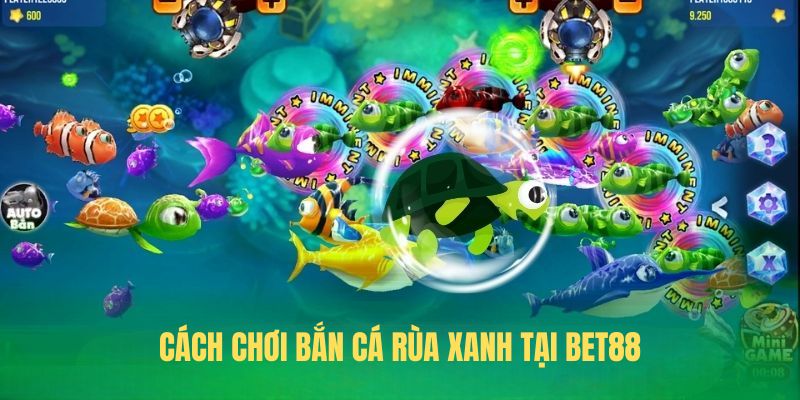 Cách chơi Bắn Cá Rùa Xanh tại BET88